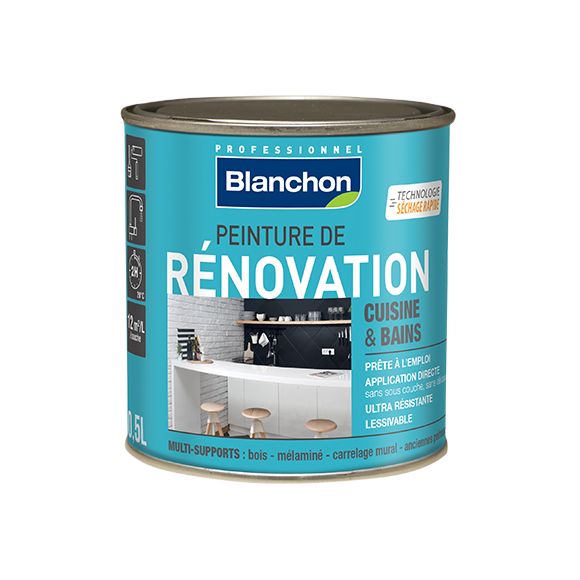Blanchon - Peinture de Rénovation 0,5L Blanc cassé